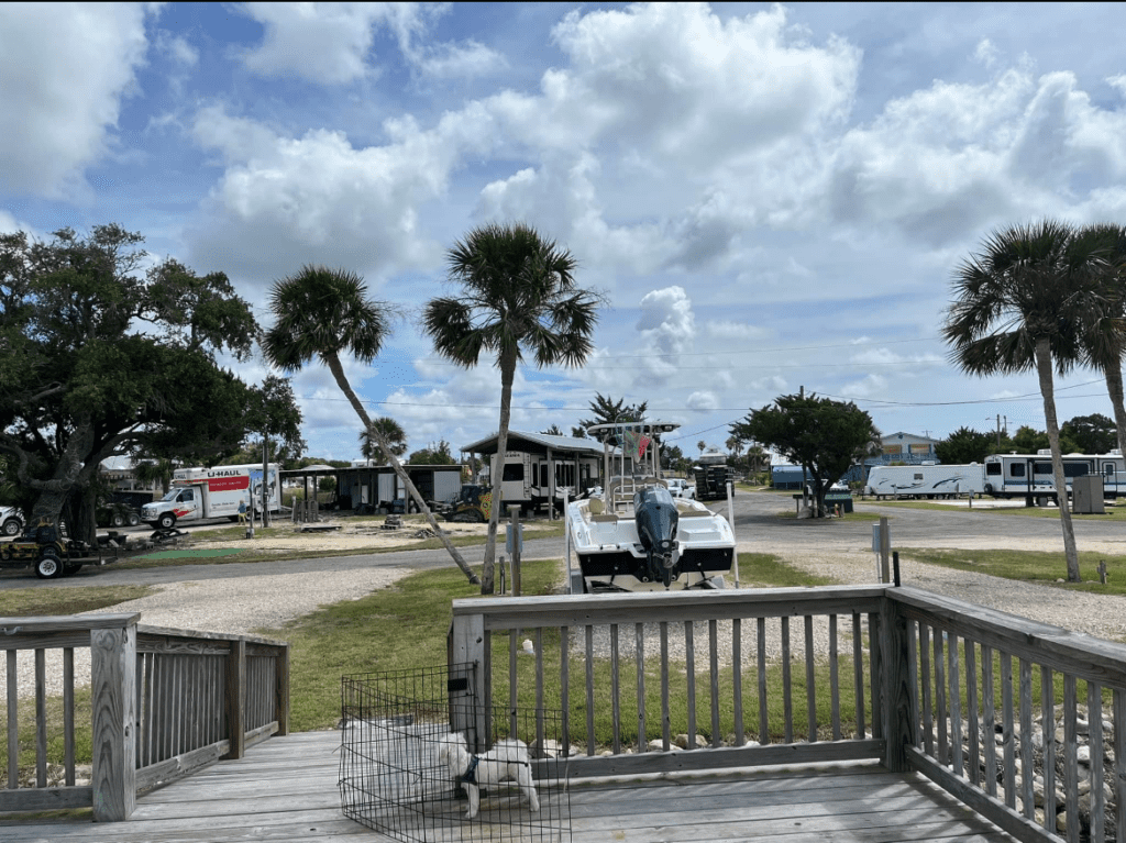 A Dog Lying on a Deck